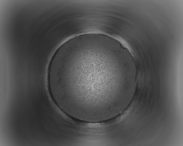 X0000089711142200706281508