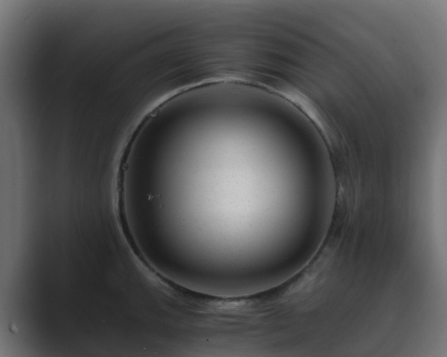 X0000089711143200706281508