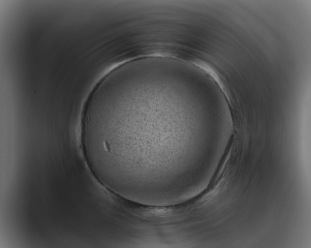 X0000089711147200706281508