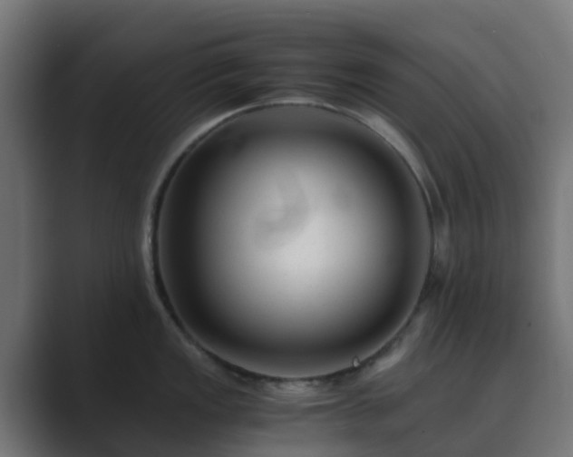 X0000089711149200706281508