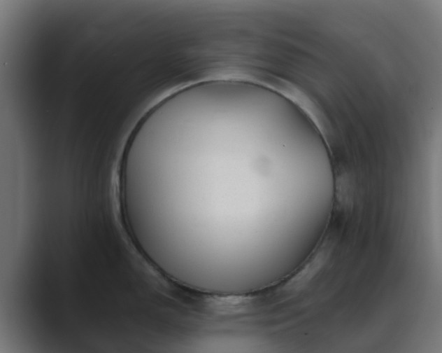 X0000089711150200706281508