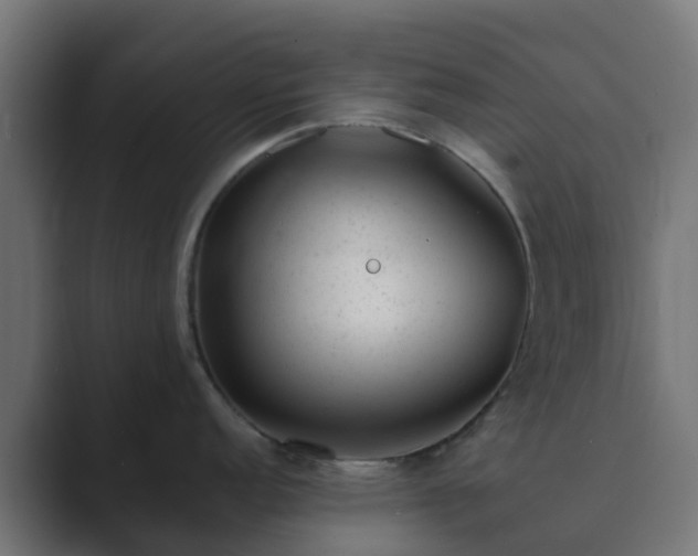 X0000089711152200706281508