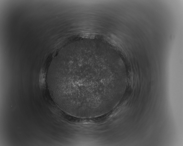 X0000089711154200706281507