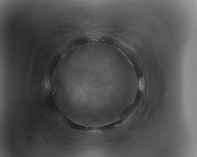 X0000089711155200706281507