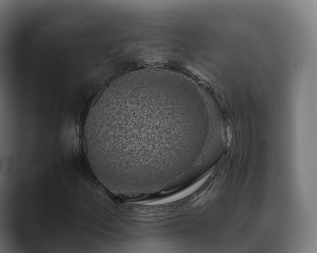 X0000089711156200706281507