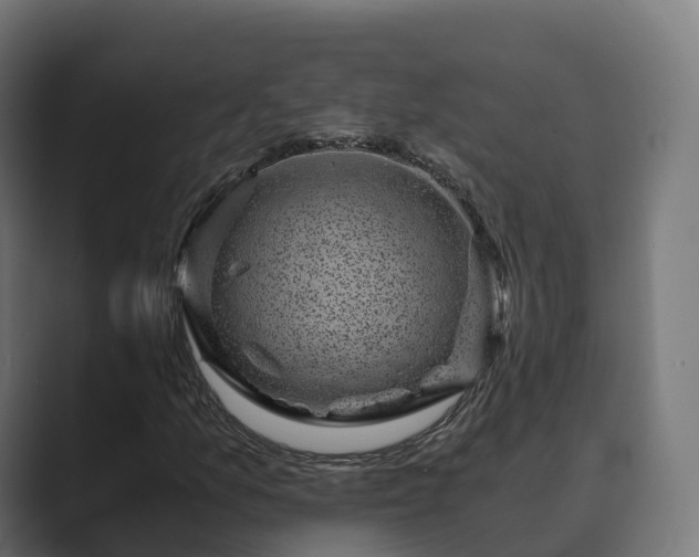 X0000089711157200706281507