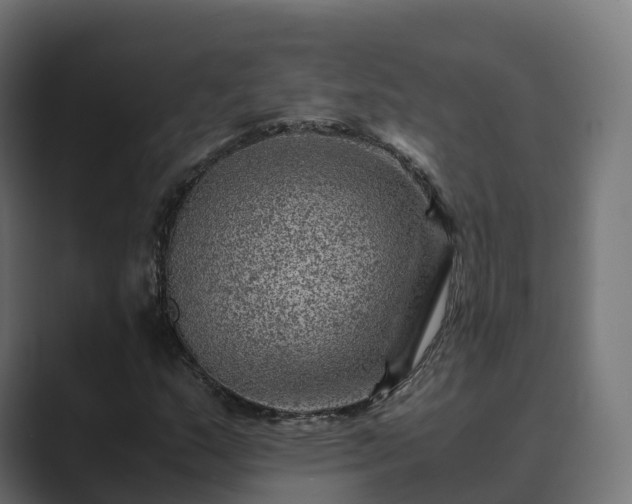 X0000089711159200706281507