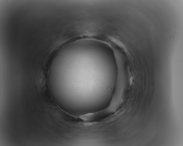 X0000089711160200706281507