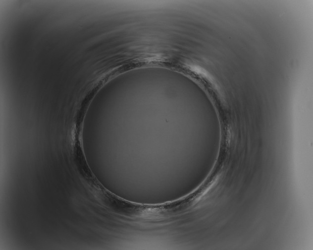 X0000089711161200706281507