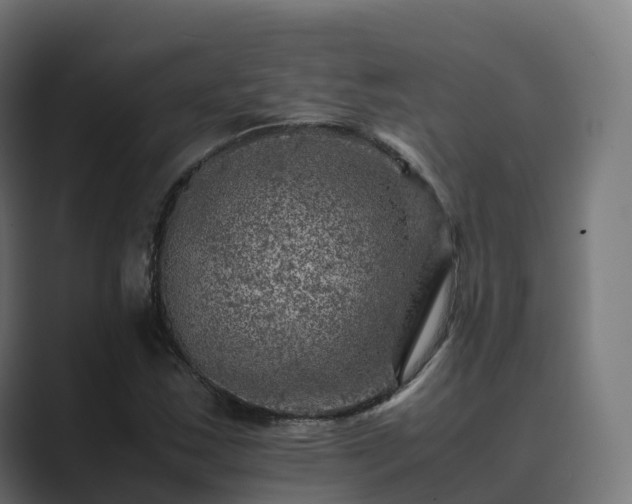 X0000089711163200706281507