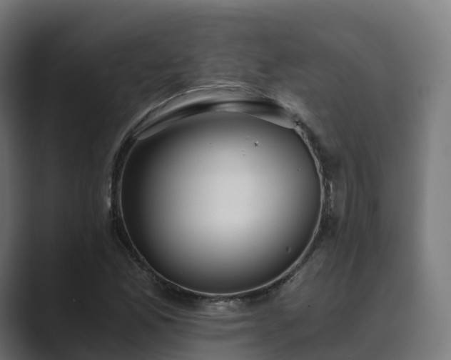 X0000089711165200706281507