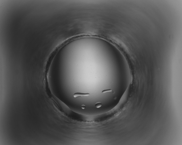 X0000089711168200706281507