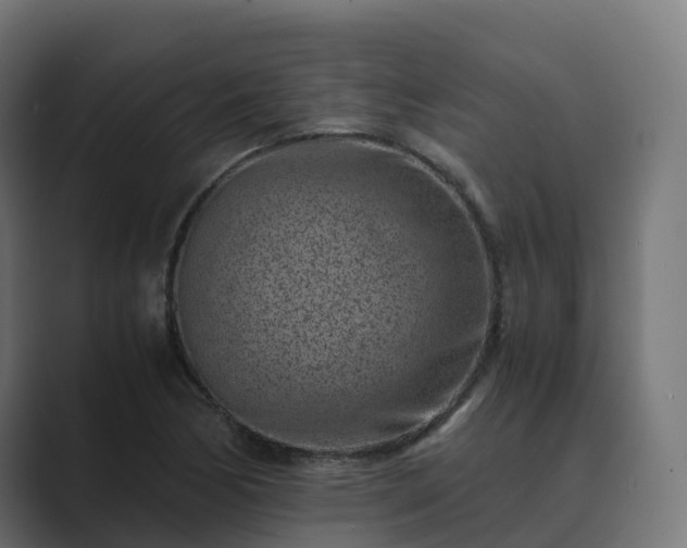 X0000089711170200706281507