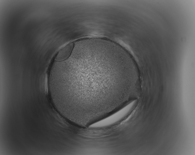 X0000089711171200706281507