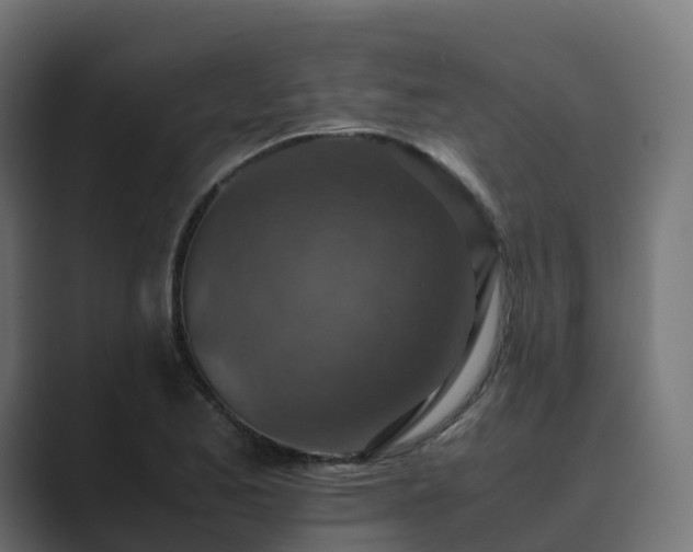 X0000089711173200706281507