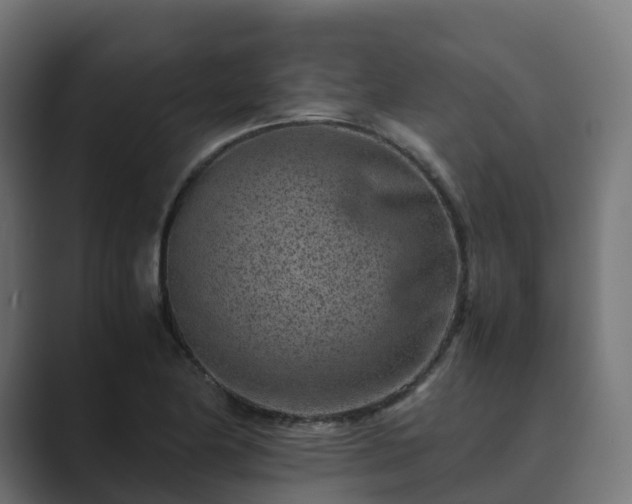 X0000089711174200706281507