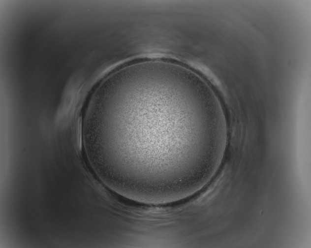 X0000089711175200706281507