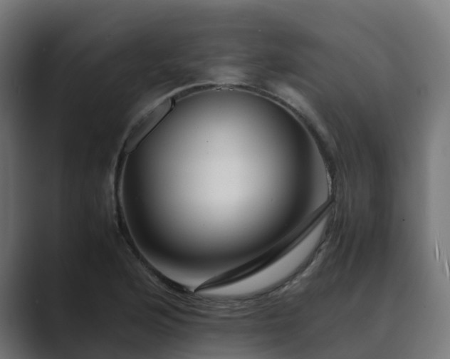 X0000089711176200706281507