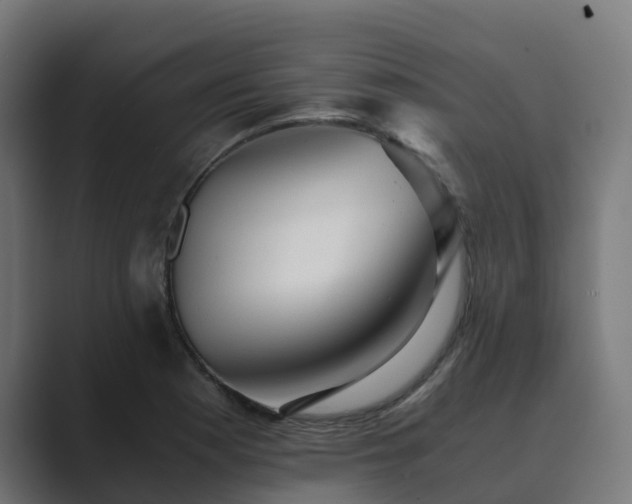 X0000089711177200706281507