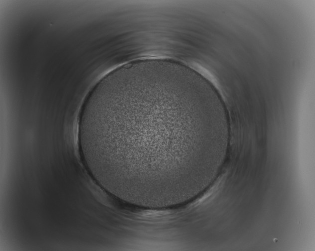 X0000089711179200706281507