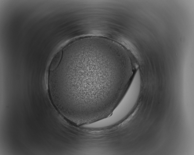 X0000089711180200706281507