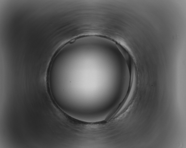 X0000089711181200706281507