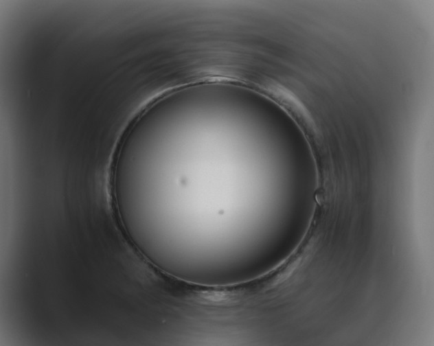 X0000089711182200706281507