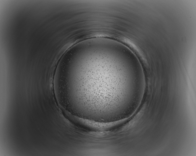 X0000089711185200706281507