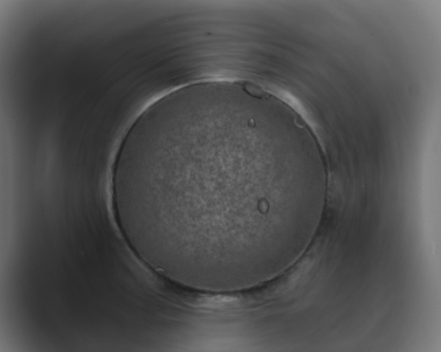 X0000089711187200706281507