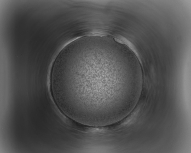 X0000089711195200706281507