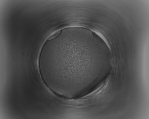 X0000089711197200706281507