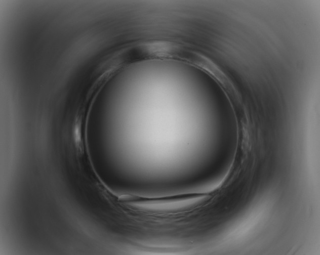 X0000089711198200706281507