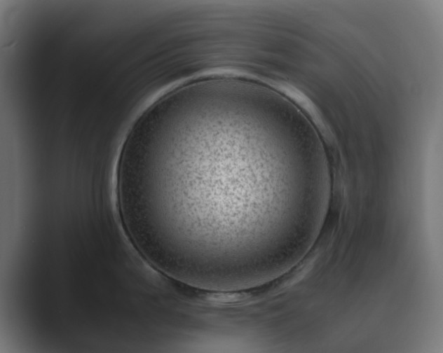 X0000089711199200706281507