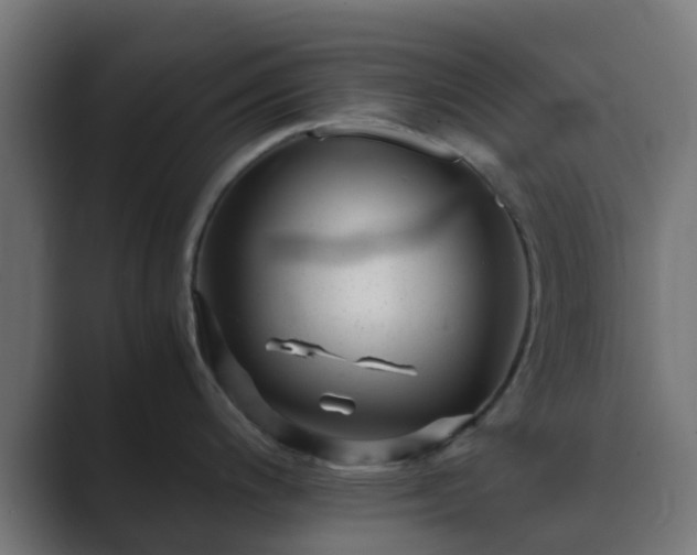 X0000089711200200706281507