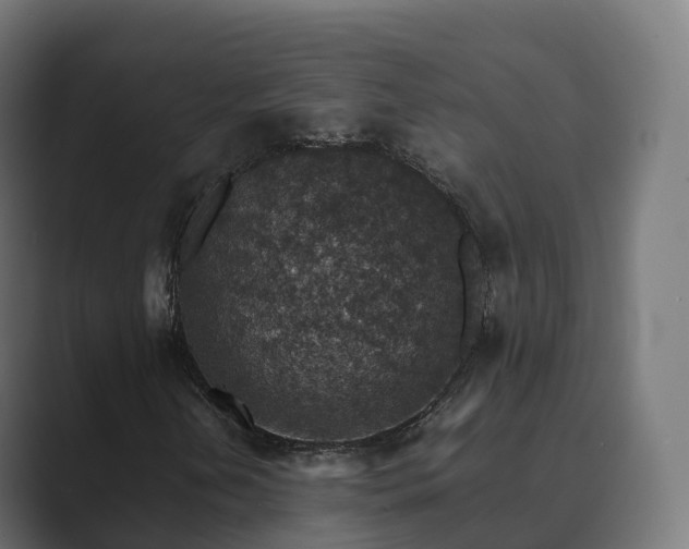 X0000089711202200706281506