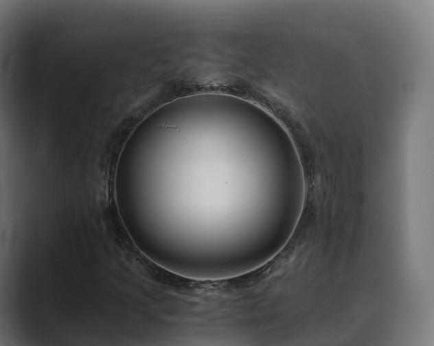 X0000089711205200706281506