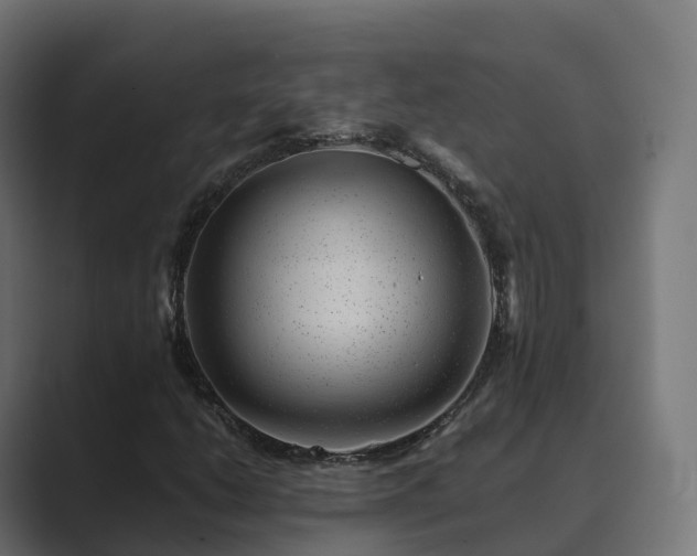 X0000089711206200706281506