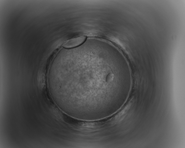 X0000089711211200706281506