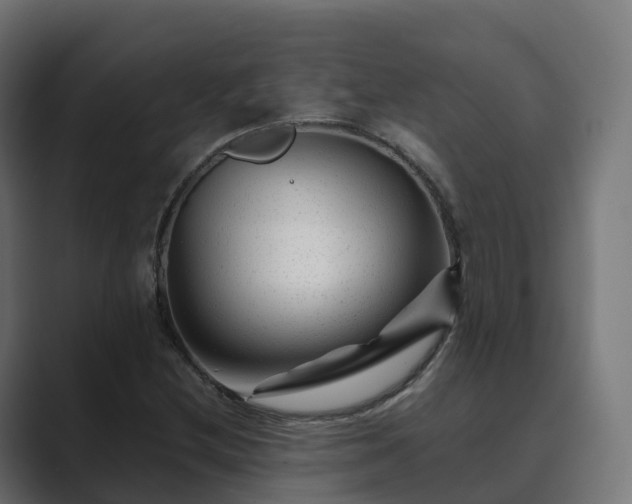 X0000089711212200706281506