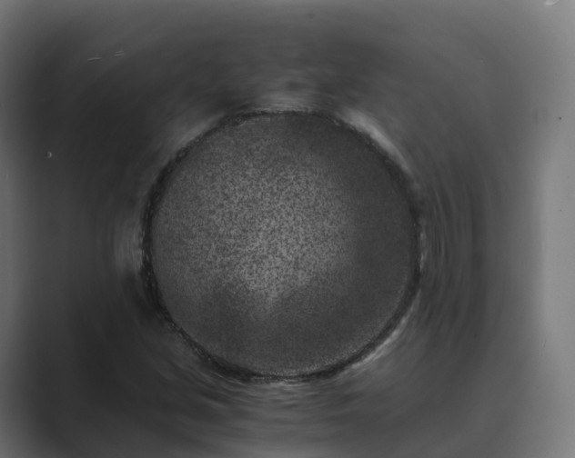 X0000089711213200706281506