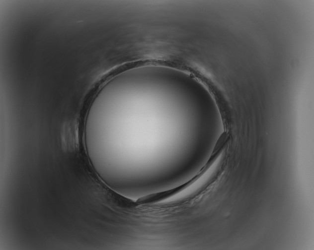 X0000089711214200706281506