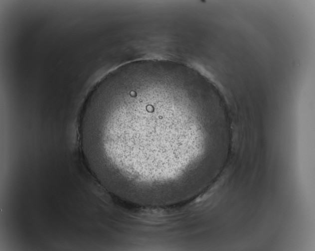 X0000089711215200706281506