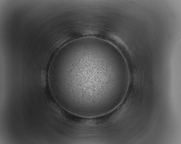 X0000089711217200706281506