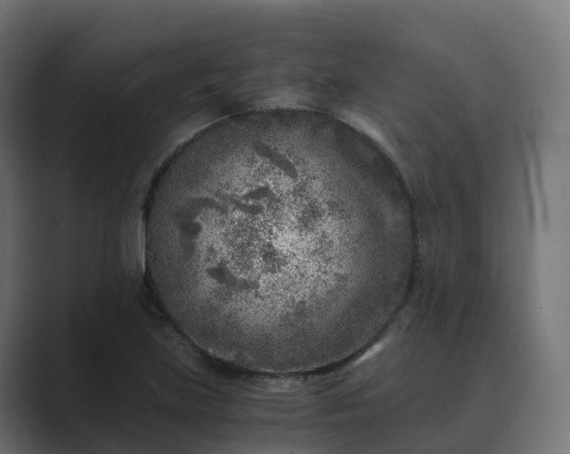 X0000089711219200706281506