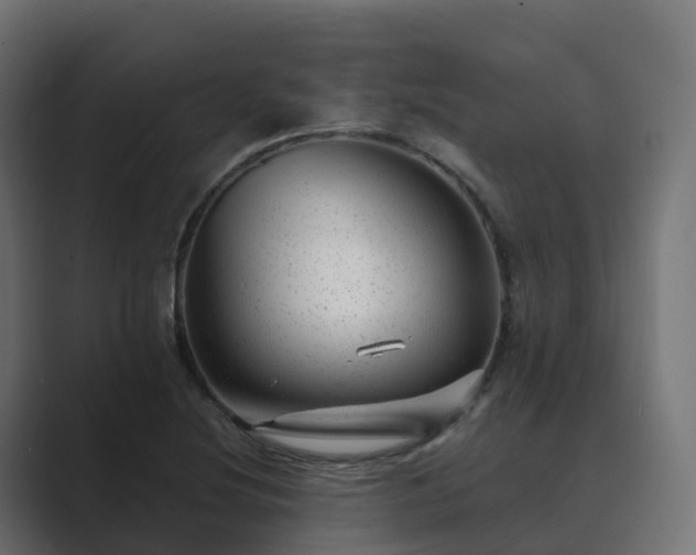 X0000089711220200706281506