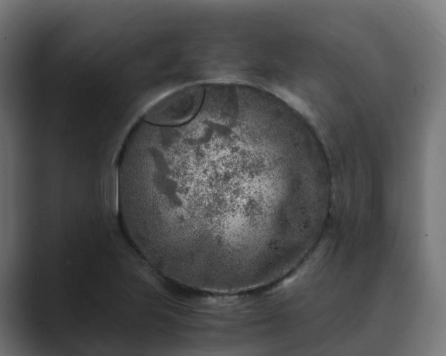 X0000089711223200706281506