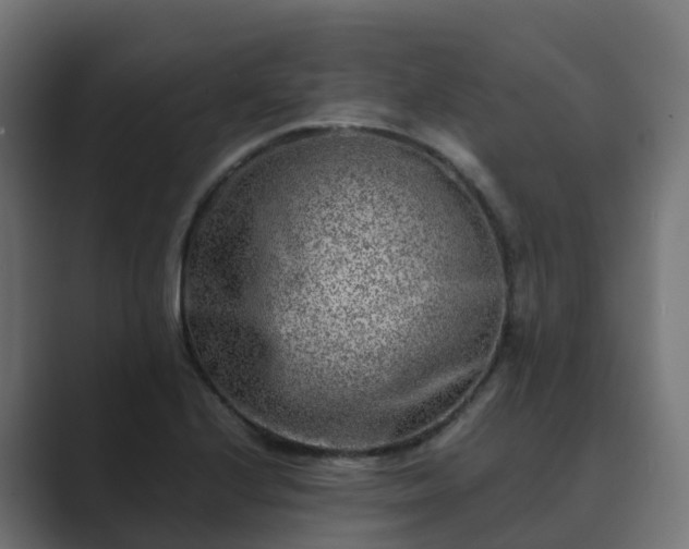 X0000089711224200706281506