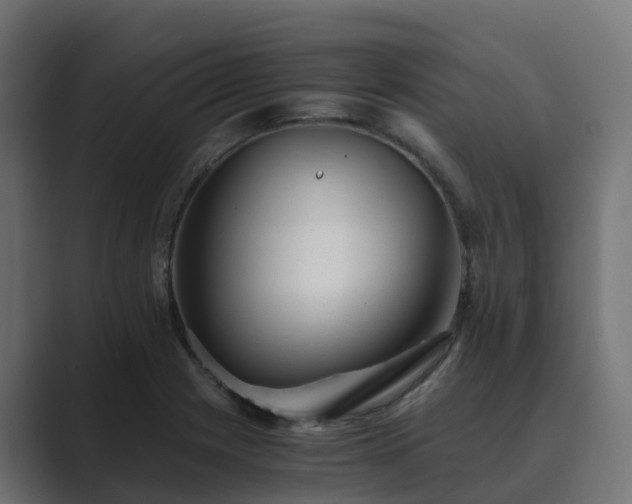 X0000089711225200706281506