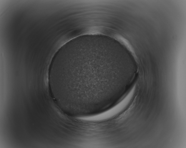 X0000089711226200706281506