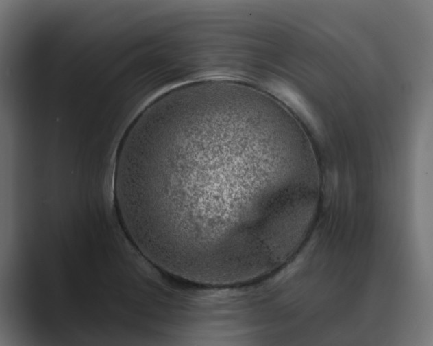 X0000089711228200706281506